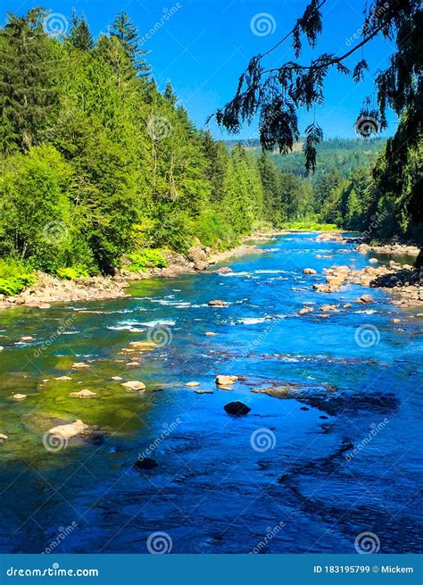 Snoqualmie River Wilderness Washington Vertical Stock Image Image Of