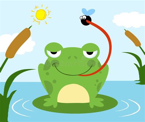 Frog Catching Fly Stock Vector Illustration Of Animal 18624861