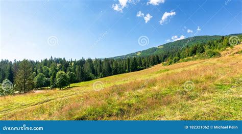 Grassy Meadows Of Mountainous Scenery In Summer Stock Photo Image Of