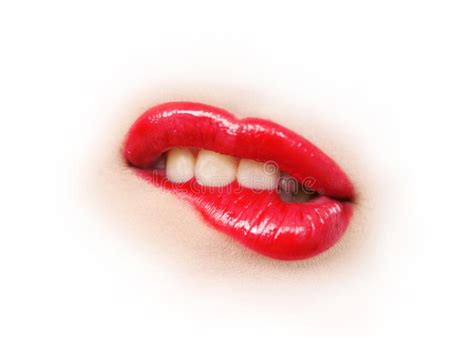 Beautiful Red Female Lips Bite Seductively Stock Image Image Of