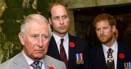 Palace denies Prince Charles feud with Prince William and Harry | WHO ...