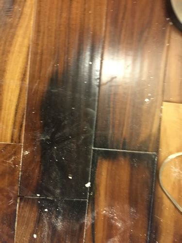 Mold under carpet on hardwood floor unfortunately, mold is prevalent not just in hardwood floors but also generally for property owners. Kitchen Update - Mold Disaster | Teal Inspiration