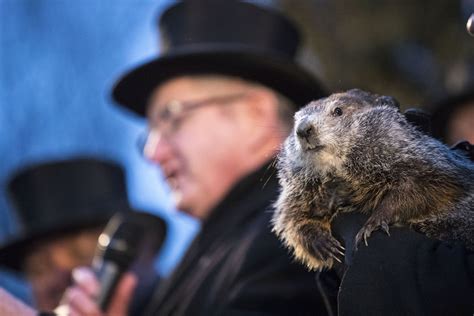 Groundhog day is a 1993 comedy directed by harold ramis, starring bill murray and andie macdowell. Groundhog Day 2019: Places Celebrating, Will There Be Six ...
