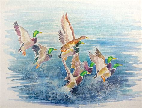 Watercolour Painting Of Flying Ducks Leaving A Lake Etsy Uk