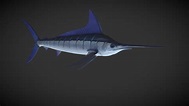 Swordfish - 3D model by 3djobteam [51f42e8] - Sketchfab