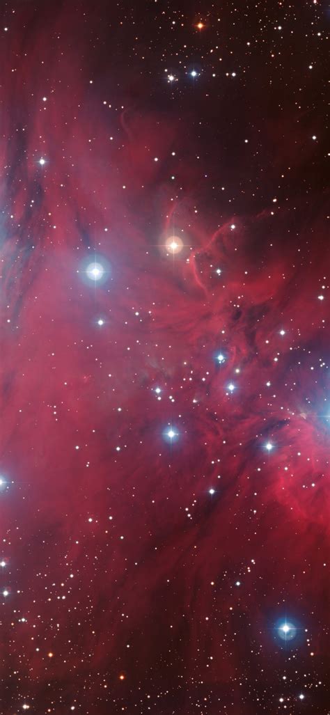 Cone Nebula Phone Wallpapers