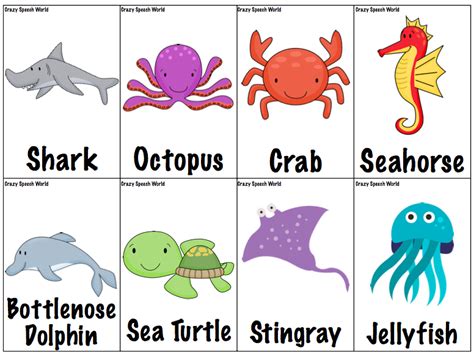 Picture Of Ocean Animals