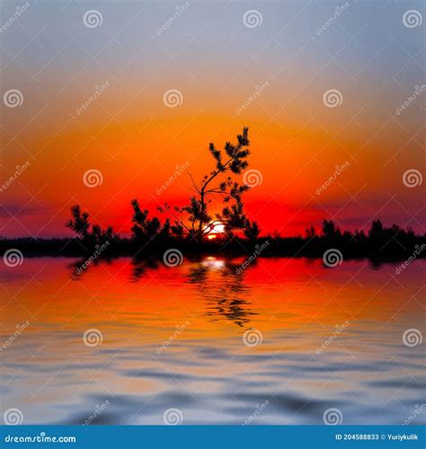 Alone Pine Tree Silhouette On A Red Dramatic Sunset Background