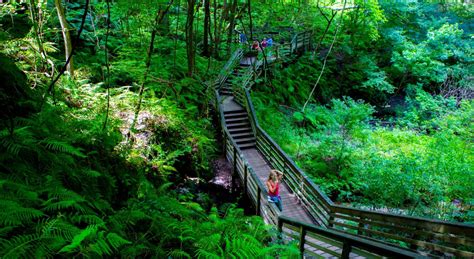 Gainesville Florida Experiences In Nature Springs Wildlife Hiking