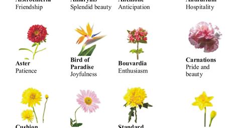 Language Of Flower Different Types Of Flowers