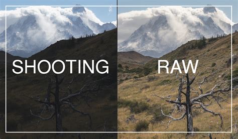 Why You Should Shoot In Raw Format And Why You Shouldnt Dalibro