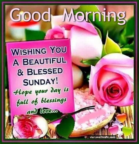 Good Morning Wishing You A Beautiful And Blessed Sunday Pictures