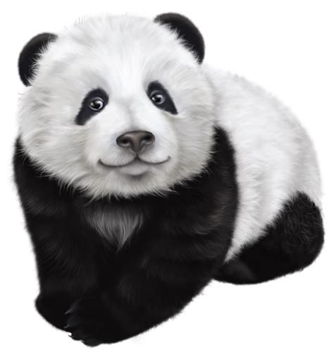 Giant Panda Png Svg Clip Art For Web Download Clip Art Png Icon Arts