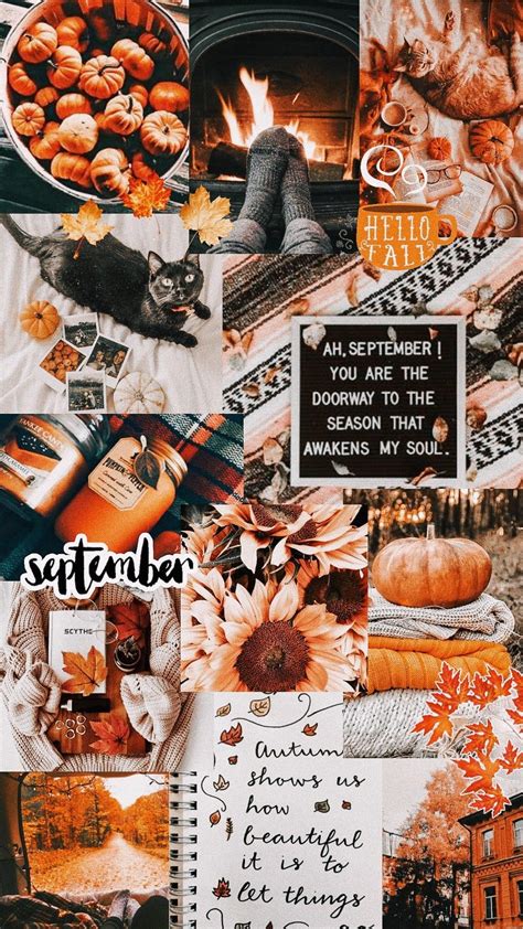 Fall Collage Background Transborder Media