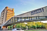 Hofstra University via INTO USA | Adventus IO