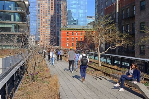 Oasis Among Huge Skyscrapers High Line Elevated Linear Park Rail