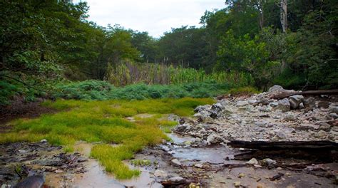 Northern Plains Travel Guide Best Of Northern Plains Costa Rica