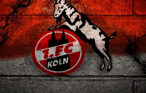 Our system stores fc köln wallpapers. 1. FC Köln Wallpapers - Wallpaper Cave