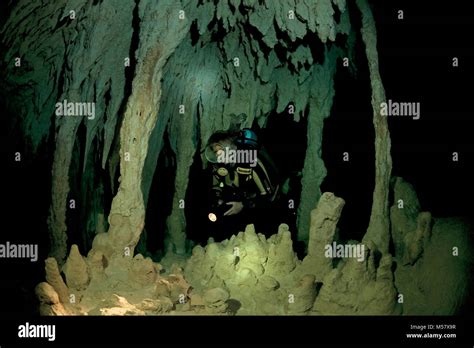 Cave Diver Inside The Cenote Grand Cenote Cenotes Tulum Yucatan
