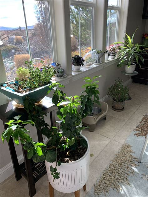 Dressing up your lawn edging can give your outdoor space a newer and cleaner look. Pin by Toni Willen on Landscaping/Outdoor Ideas in 2020 ...