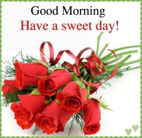 Pin By Nina Addis On Good Morning 8 Good Morning Flowers Happy