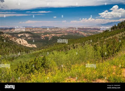 Distant view of Waterpocket Fold, Capitol Reef, from Larb Hollow