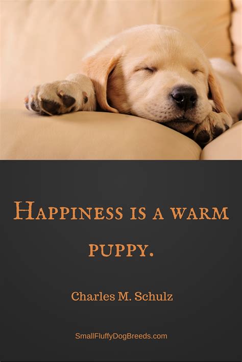 Quotes About Dogs The Greatest Quotes About Mans Best Friend