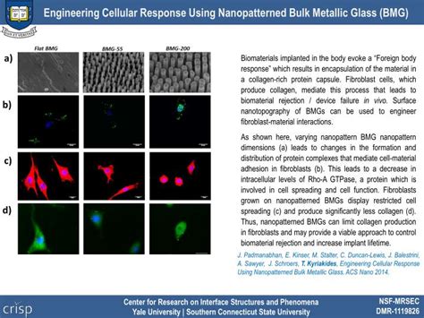 Ppt Engineering Cellular Response Using Nanopatterned Bulk Metallic
