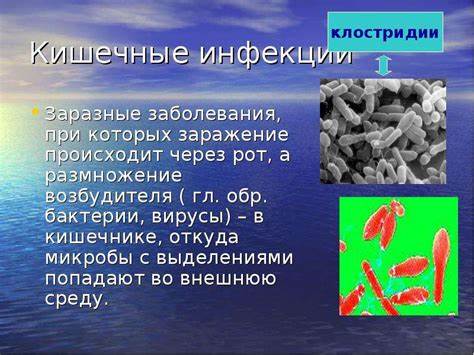Диета пищевые отравления Пищевые отравления - презентация, доклад, проект скачать Пищевые отравления - презентация, доклад, проект скачать Диета пищевые отравления