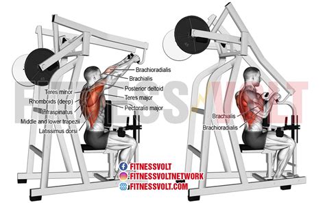 Seated High Row Machine Exercise Guide And Videos Fitness Volt