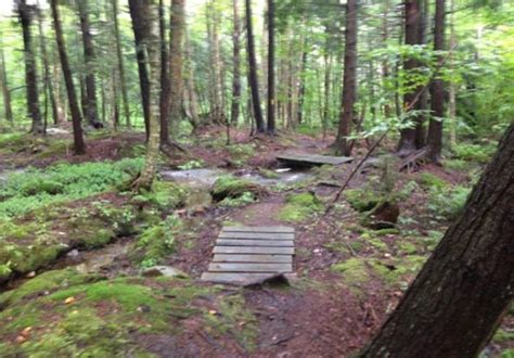 Ford Woods State Park In Vermont Includes An Ancient Forest That’s Home To 400 Year Old Trees