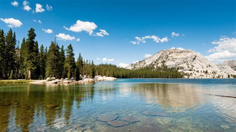 Landscape Nature Lake Hills Forest Pine Trees Yosemite National