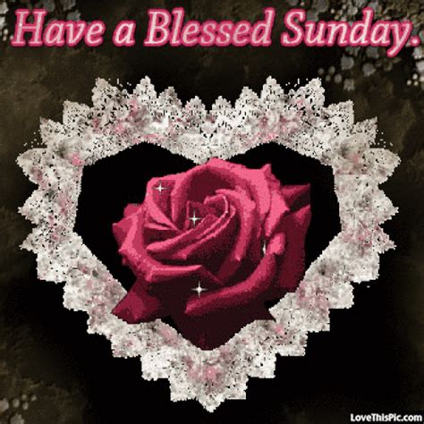 20 Latest Sunday Blessings Animated  Poppy Bardon Blessings