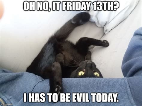Friday The 13th Cat Meme