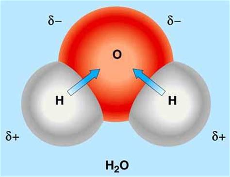 Chloromethane is the name of ch 3 cl. Chapter 2 - Water and Carbon: The Chemical Basis of Life - Biology 1107 with Abbott at ...