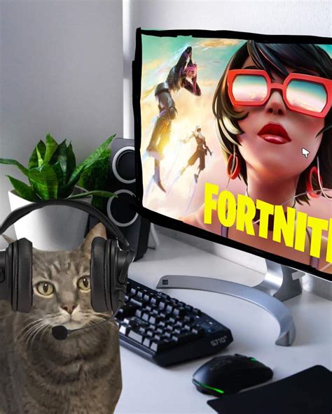 My Cat Plays Fortnite Totally Not Edited Fortnite Amino