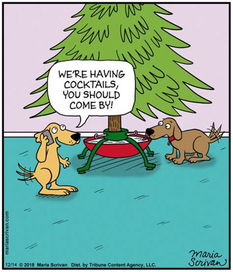 Pin By Ken Drake On Christmas Funnies Christmas Humor Christmas