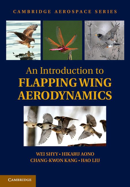 An Introduction To Flapping Wing Aerodynamics