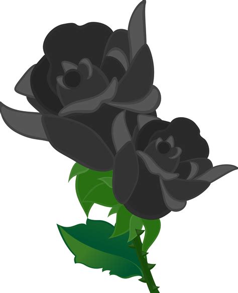 Black Roses Png Clipart Myfreedrawings