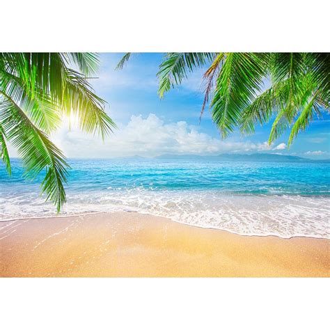 Tropical Beach Backdrop For Photography Printed Palm Tree Leaves Bokeh