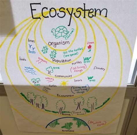 Ecosystem Anchor Chart Anchor Charts Ecosystems Chart