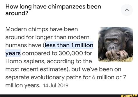 How Long Have Chimpanzees Been Around Modern Chimps Have Been Around