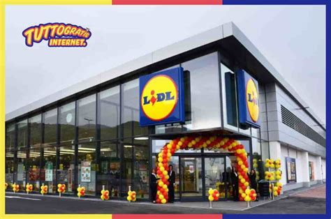 Lidl Assume Tante Nuove Posizioni Aperte In Tutta Italia Non Perdere