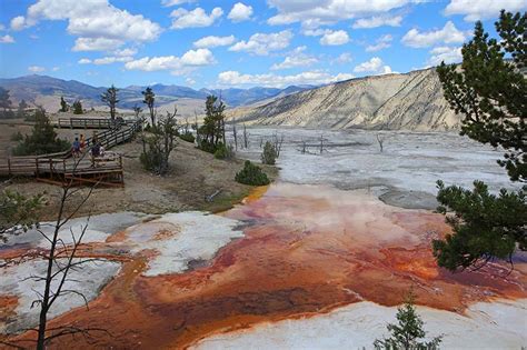 Mammoth Hot Springs Yellowstone What To See Map And Tips