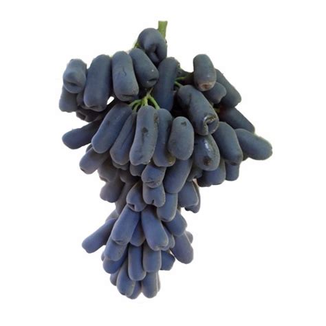 Sweet Sapphire Seedless Grapes 1 Lb From Food Lion Instacart