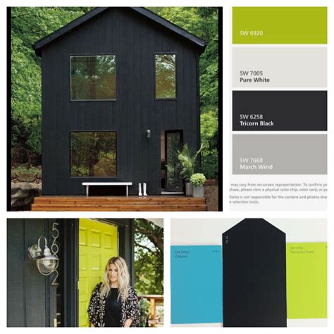 House Color Inspiration Sherwin Williams Tricorn Black House