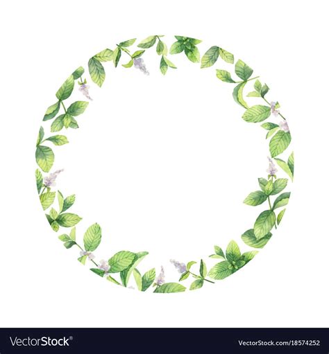 Watercolor Frame Of Mint Branches Isolated Vector Image