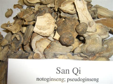 Chinese Nutrition Properties Of San Qi
