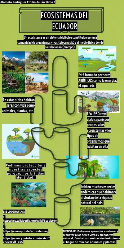 Los Principales Ecosistemas Del Ecuador Coggle Diagram Images
