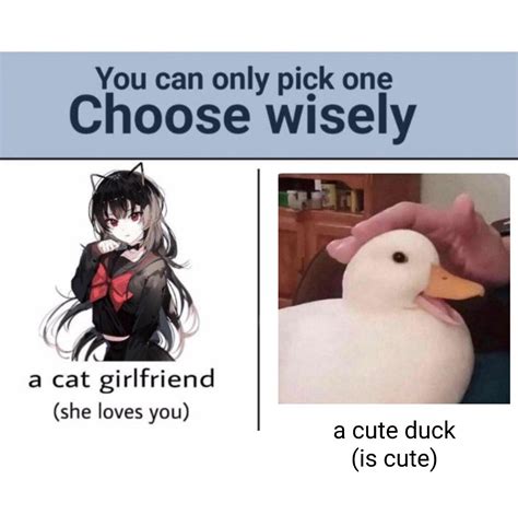 You Can Only Pick One Choose Wisely R Memetemplatesofficial